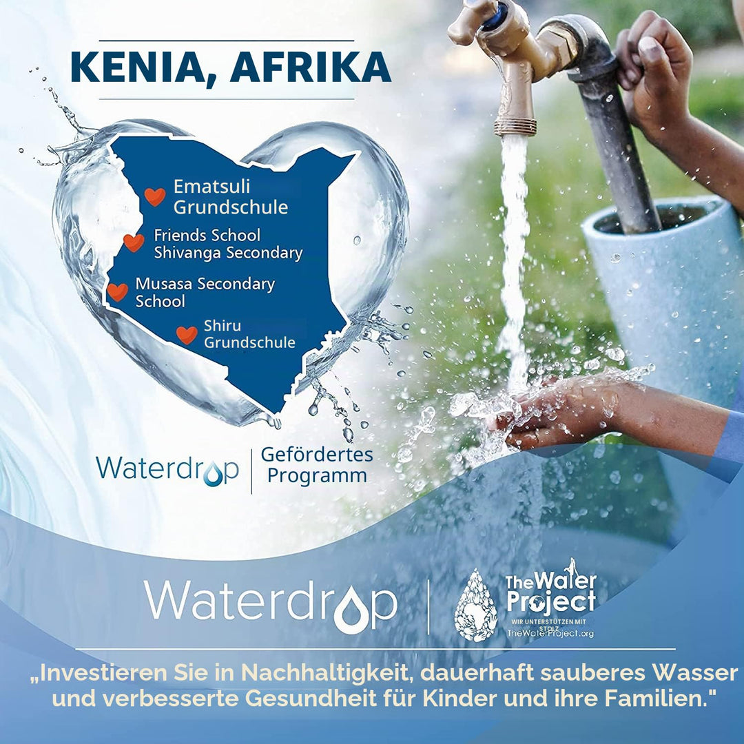 Waterdrop WD-G3-N1CF Filter, 6 Monate Lebensdauer, Ersatz für WD-G3-W Umkehrosmoseanlage 1 Stück, 1