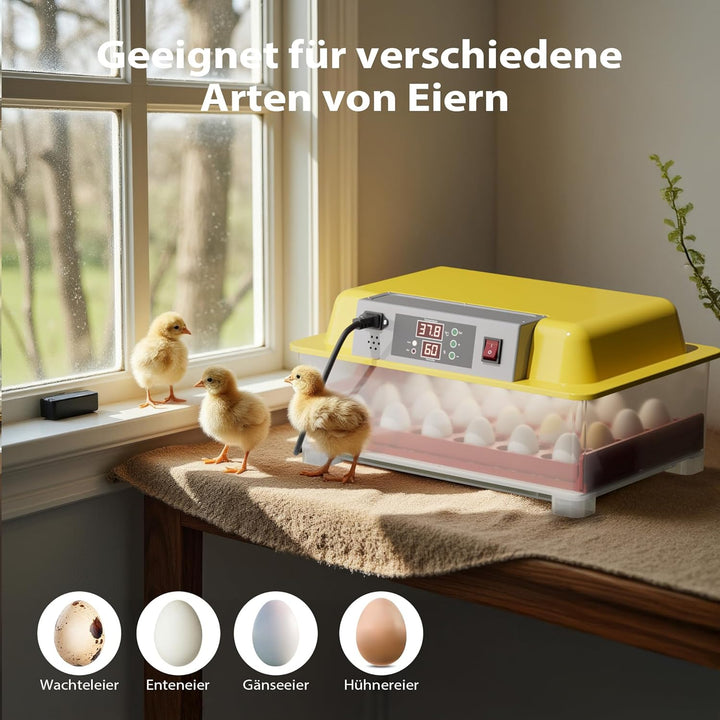 Vollautomatische Brutmaschine 24 Eier Brutapparat Flächenbrüter Brüter Inkubator