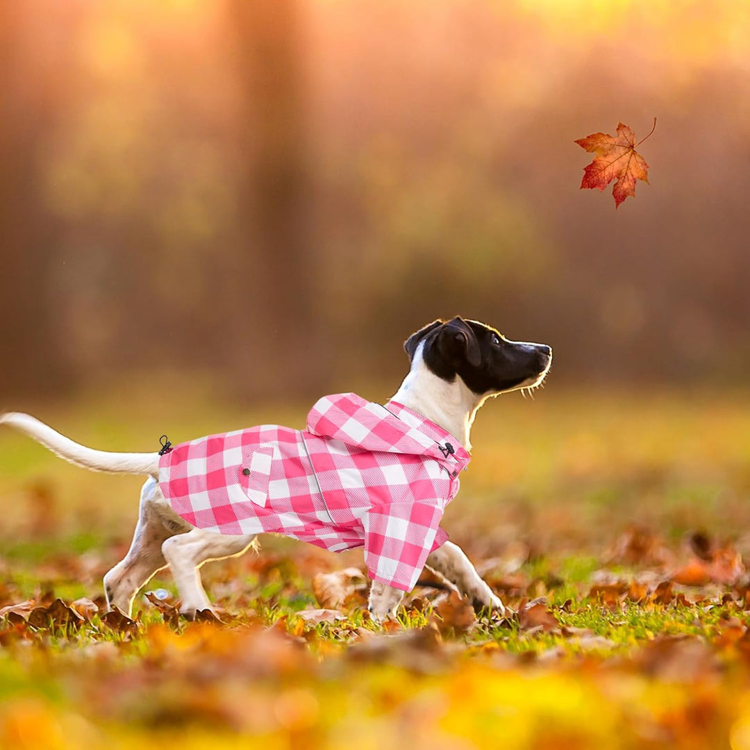 MOREZI Hunderegenmantel, mit Reissverschluss und reflektierenden Knöpfen, Regen-/wasserdicht, Verste