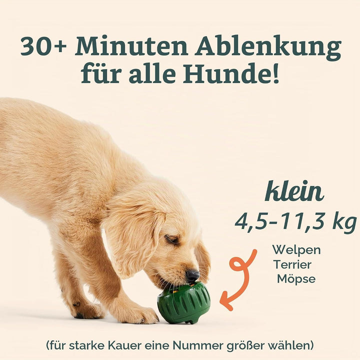 WOOF Pupsicle and Treat Tray - Langlebiges interaktives Hundespielzeug gegen Langeweile und Silikonf