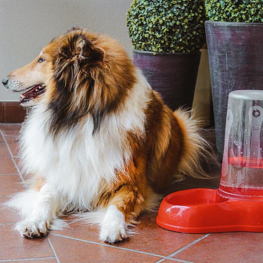 Ferplast Futter- oder Wasserspender für Hunde und Katzen AZIMUT 3000 Trockenfuttertrog 3 Liter Wasse