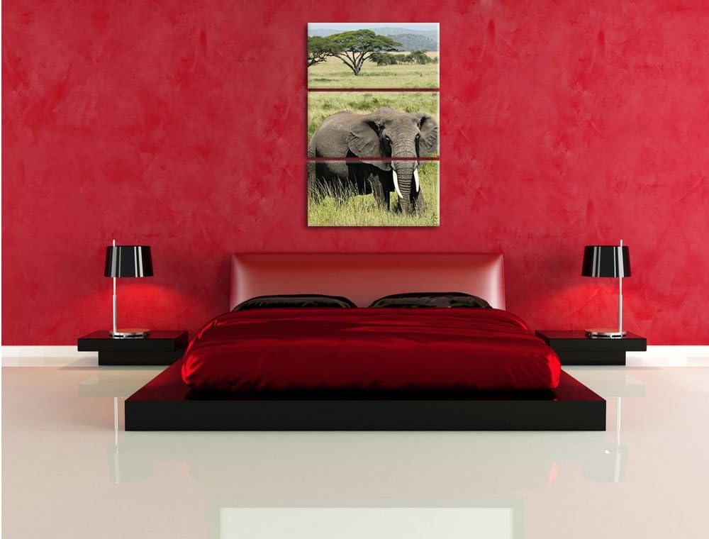 Pixxprint Elefant in der Savanne als Leinwandbild/Grösse: 3 Teilig (120x80) cm/Wandbild/Kunstdruck/f