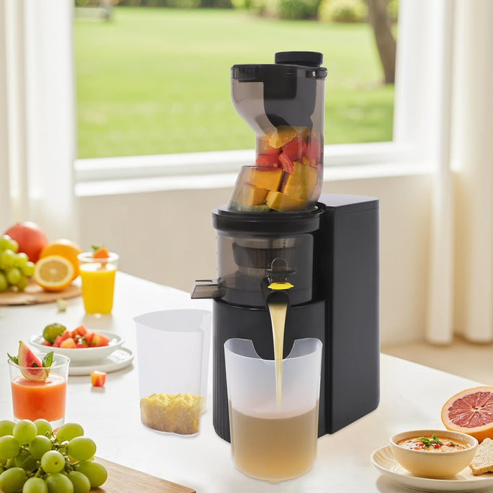 Langsamer Entsafter Slow Juicer 48 Umin Gemuese Obst
