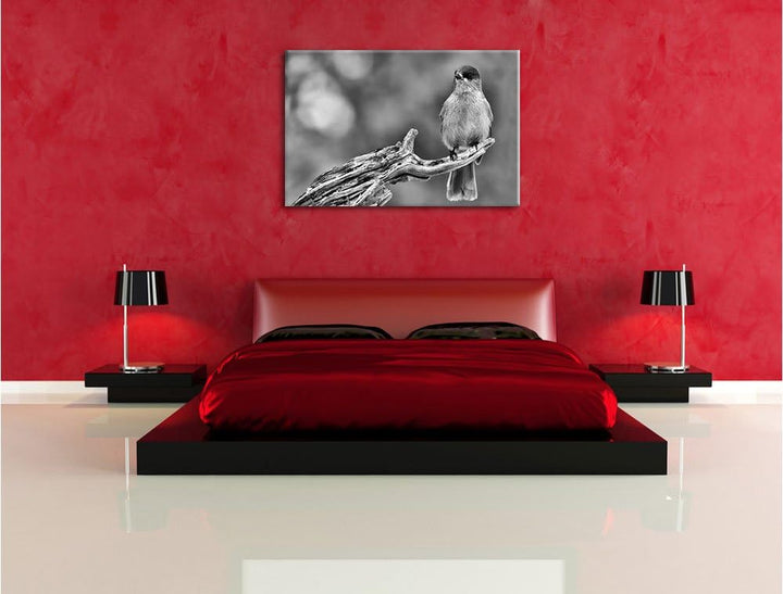 Pixxprint Monocrome, Kleiner Vogel auf AST, Format: 100x70 auf Leinwand, 100x70