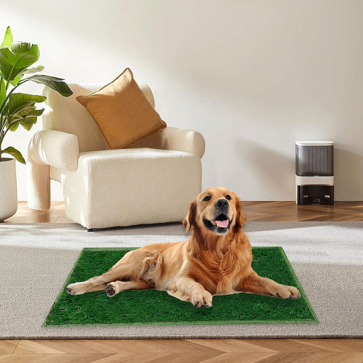 2 Stück Hundetoilette Welpentoilette Trainingsunterlage, 46cm x 35.6cm Wiederverwendbar Welpentoilet