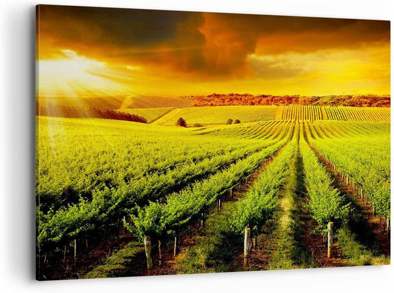 ARTTOR Bilder auf Leinwand 100x70cm Leinwandbild Land Weingut Pflanzung Gross Wanddeko Bild Schlafzi