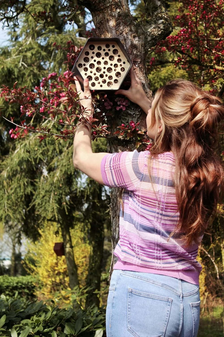 Capi Europe - Bienenhotel Hive - 19x23x20 - Anthrazit - CAPI Biodiversity Hive - AHBEA001 Anthrazit