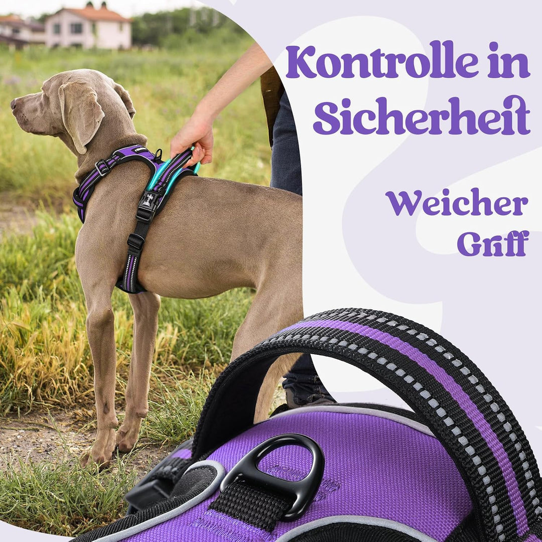 rabbitgoo Hundegeschirr Grosse Hunde Leichtes Anlegen, XL, Lila | Anti Zug, Ohne Kopfdurchzug, Halsv