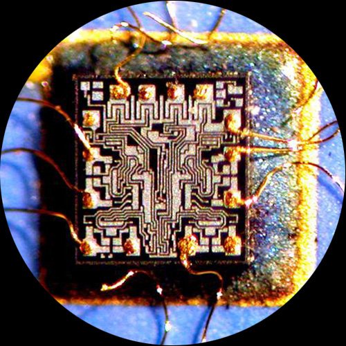 AmScope SM-1TSZ-L6W Trinokulares Inspektion Zoom Stereomikroskop mit Schwanenhals-LED-Leuchten, 3.5X
