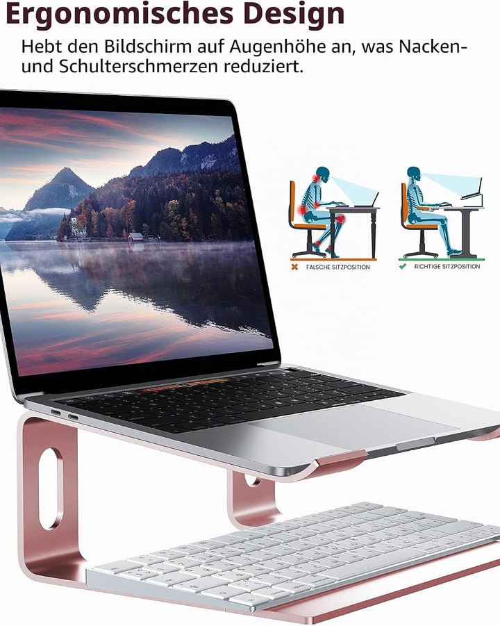 ALASHI Laptop-Ständer für Schreibtisch, Aluminium-Computer-Erhöhung, ergonomischer Notebook-Halter,