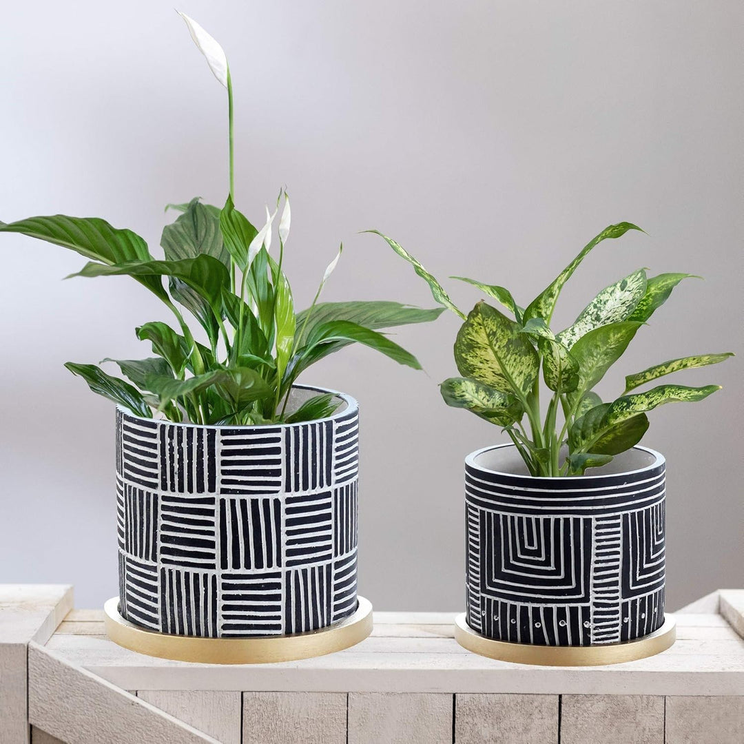 Olly & Rose Designer Schwarze Blumentöpfe Set 2 mit goldenen Untersetzern Keramik Blumentopf Übertöp