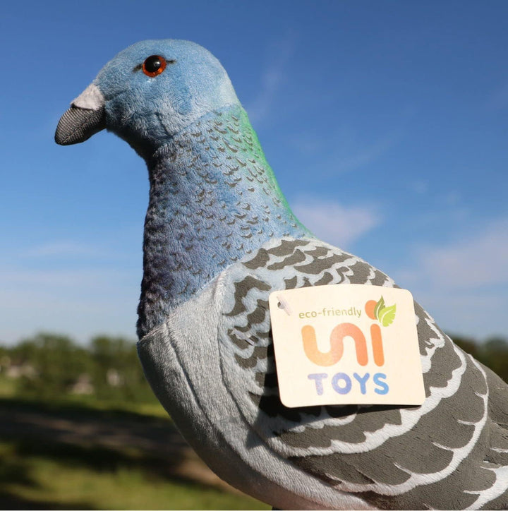 Uni-Toys - Stadttaube - 20 cm (Höhe) - Plüsch-Taube, Vogel - Plüschtier, Kuscheltier Single, Single