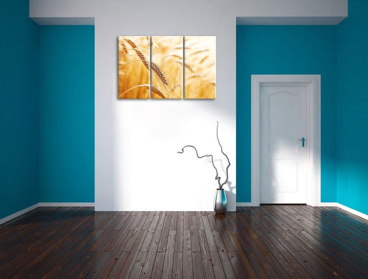 Weizen auf dem Feld als 3-Teiler Leinwandbild 120x80 Bild auf Leinwand, XXL riesige Bilder fertig ge