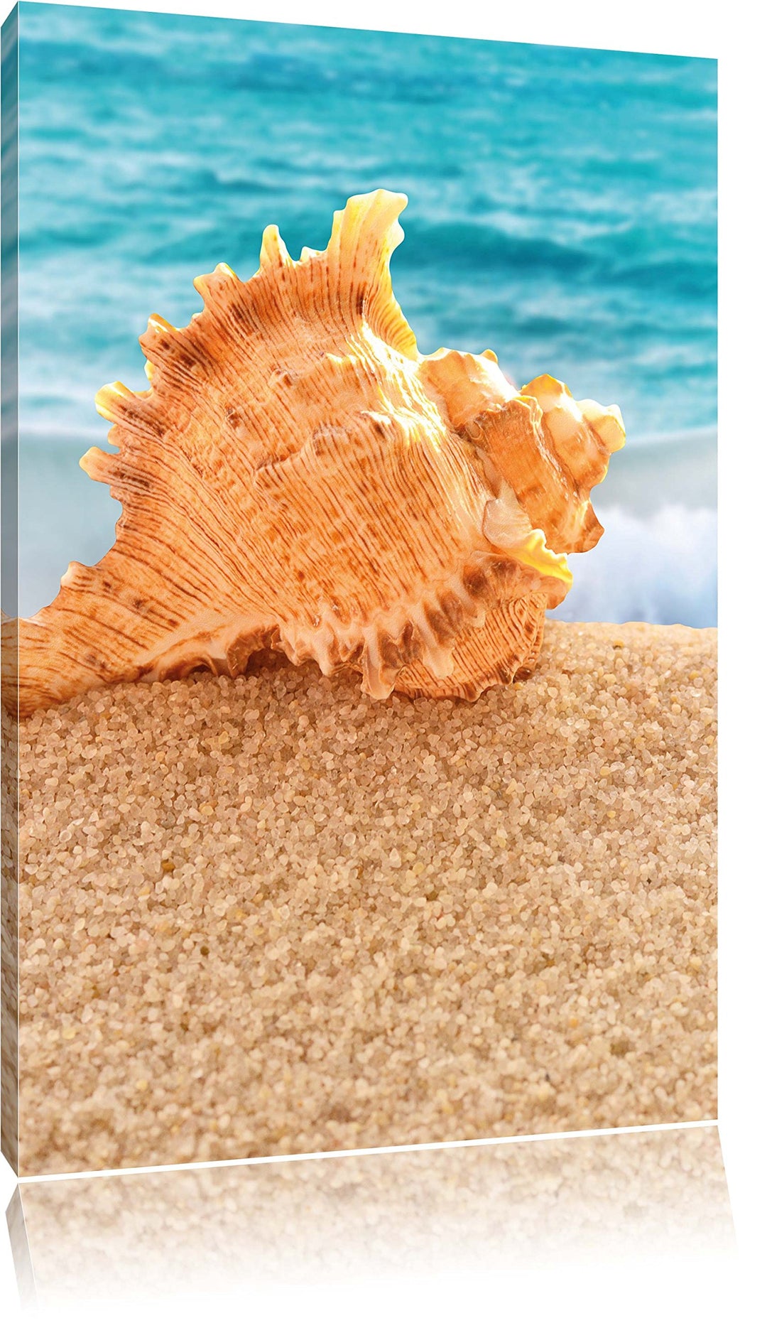 Muschel am Strand, Format: 100x70 auf Leinwand, XXL riesige Bilder fertig gerahmt mit Keilrahmen, Ku