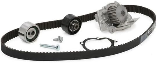 INA 530 0440 30 Wasserpumpe + Zahnriemensatz