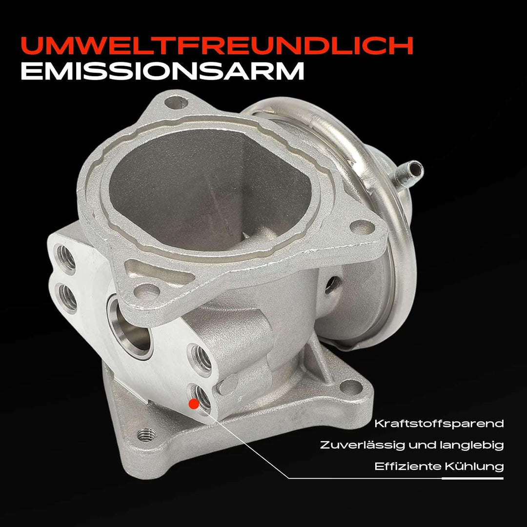 Frankberg AGR-Ventil Abgasrückführung für Bora 1J2 Golf IV Golf Plus Golf V J-e-t-t-a III Lupo P-a-s