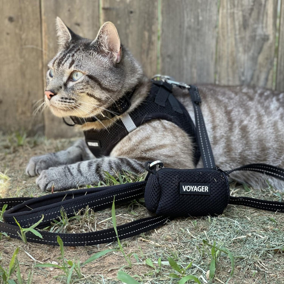 Best Pet Supplies Voyager Step-In Air Hundegeschirr â€“ Allwetter-Netzgewebe für kleine und mittelgr