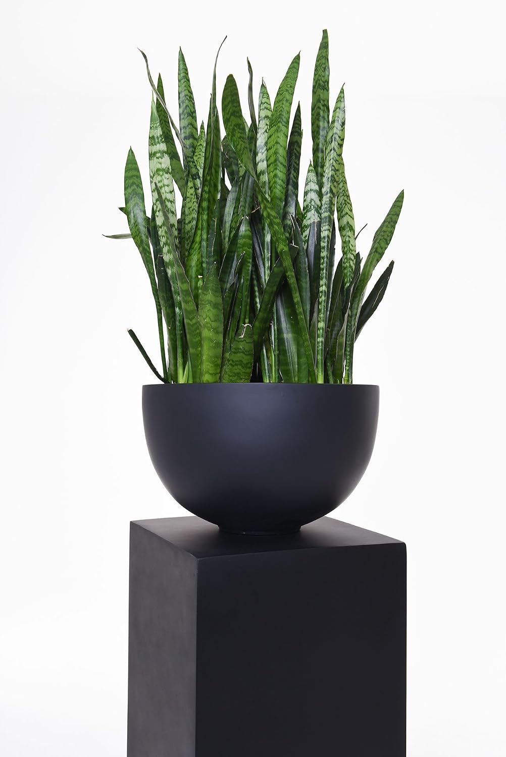 VIVANNO Podest Deko-Säule Stele Blumenständer Fiberglas Anthrazit 30x30x60 Anthrazit Matt 30x30x60 c
