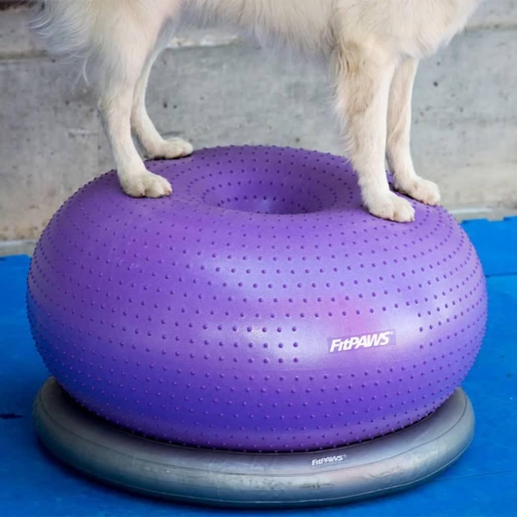 FitPAWS Traxdonut Hundetrainer, 1 Unité (Lot de 1)