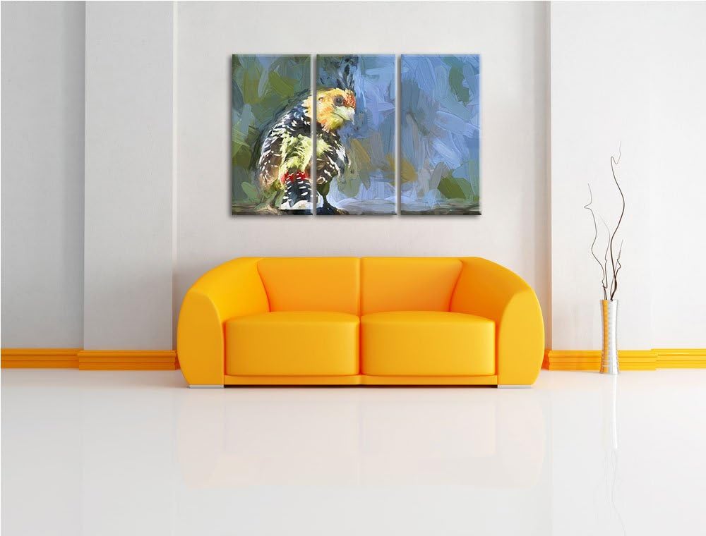 schöner Hauben-Bartvogel NewArt 3-Teiler Leinwandbild 120x80 Bild auf Leinwand, XXL riesige Bilder f