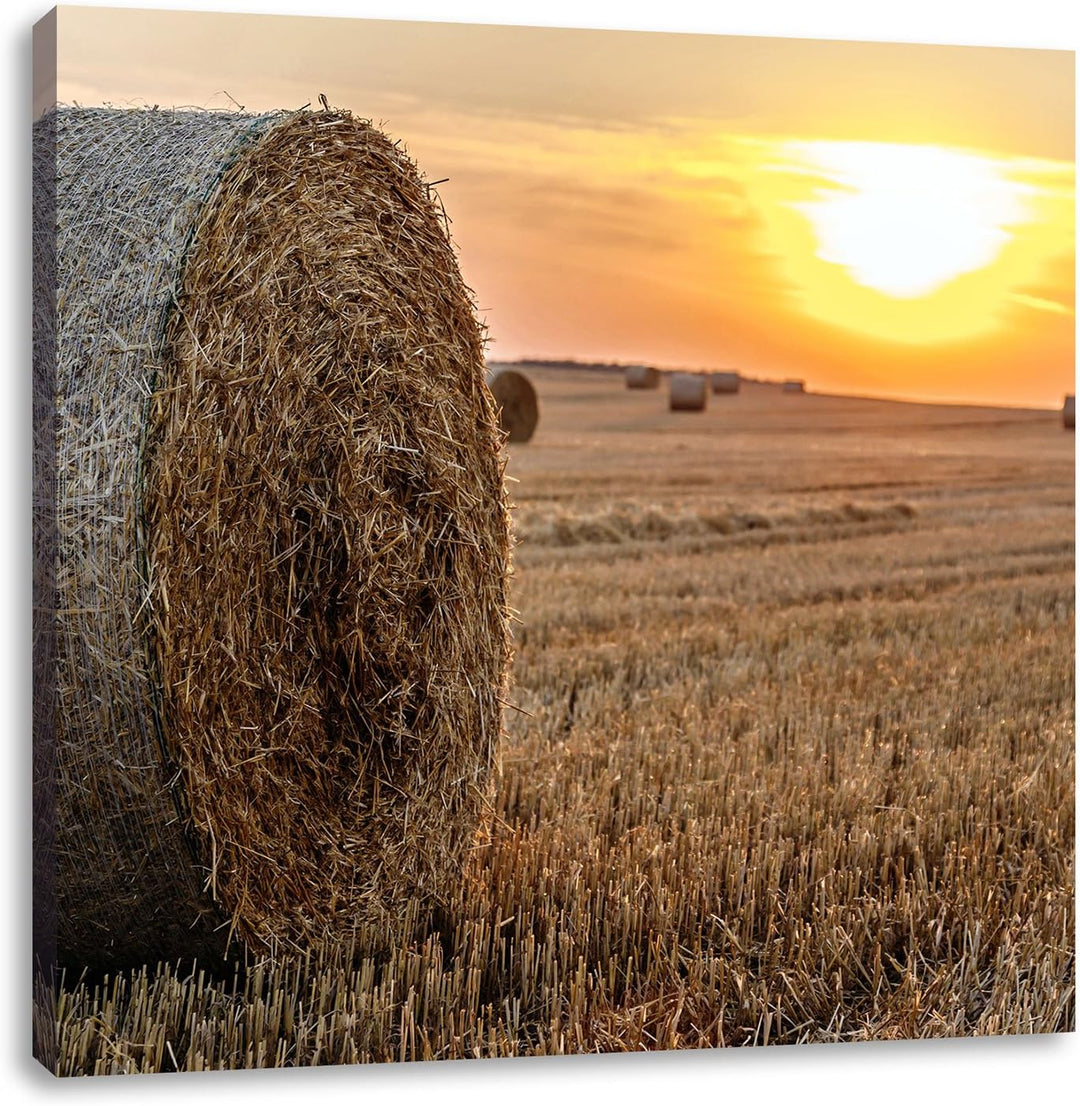 Strohballen auf Feld, Format: 70x70 auf Leinwand, XXL riesige Bilder fertig gerahmt mit Keilrahmen,