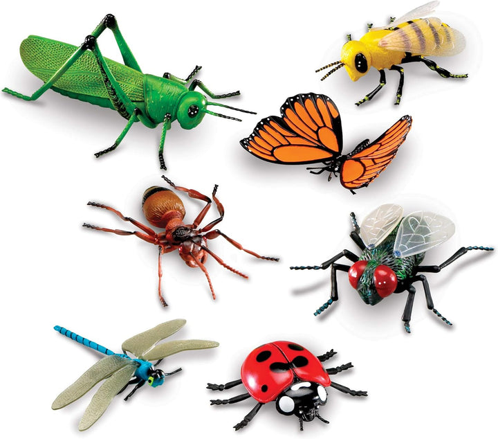 Learning Resources Insekten, Mittel