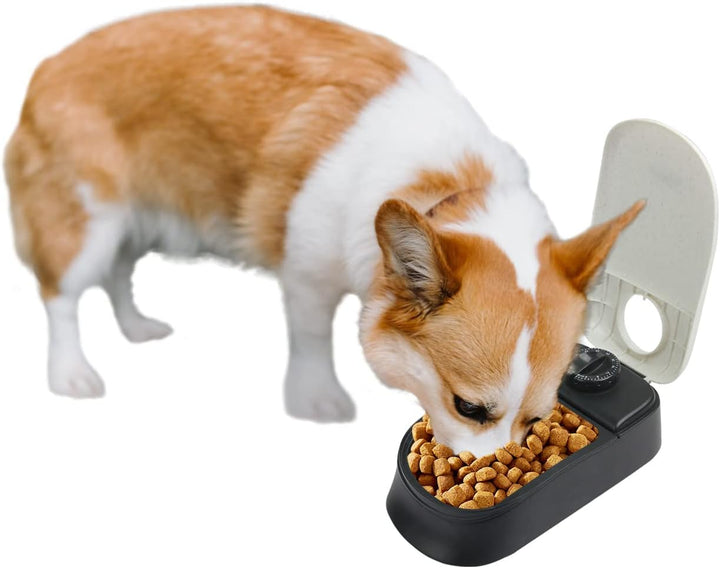 PAWISE Automatische Haustierfütterung für Hunde und Katzen, 1.5 Cup Futterspender Feeder mit 48-Stun