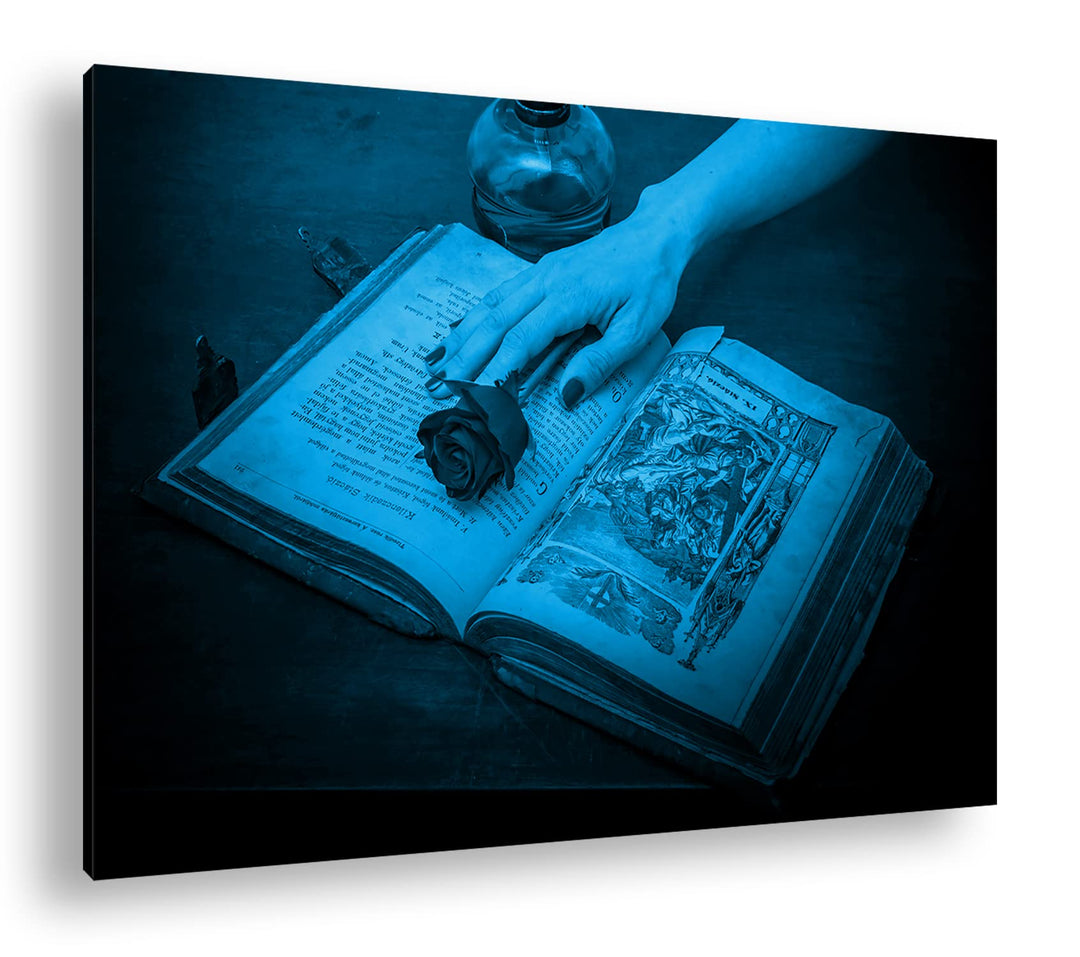 deyoli Rote Rose auf einem Antiken Buch Format 80x60 Effekt: Monocrome Blau als Leinwandbild, Motiv