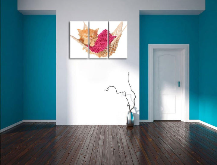 Pixxprint Schlafendes Katzenbaby in Hängematte 3-Teiler Leinwandbild 120x80 Bild auf Leinwand