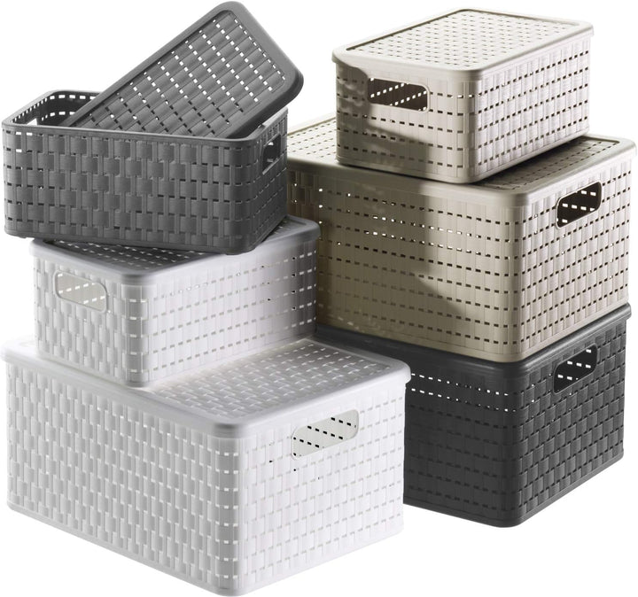 Rotho Country 3er-Set Aufbewahrungskiste 18l in Rattan-Optik, Kunststoff, beige, Beige