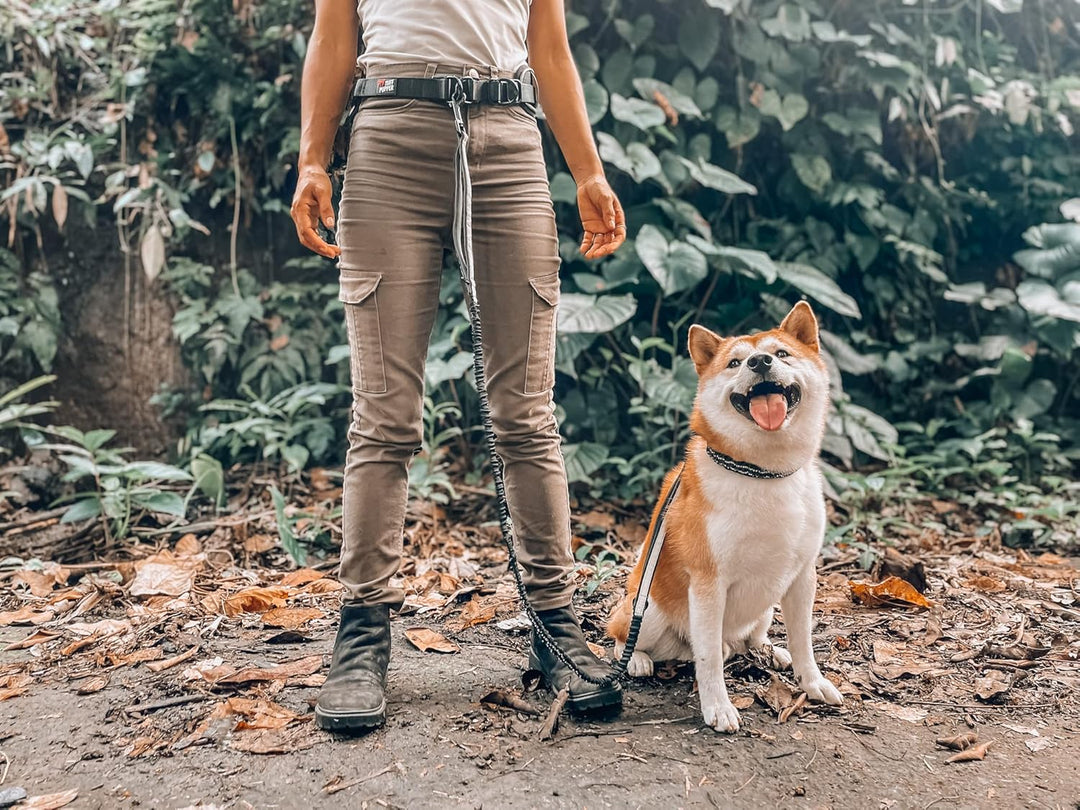 Tuff Pupper Strapazierfähige Hundeleine, freihändig, für einen kleinen/mittleren Hund bis zu 20,4 kg