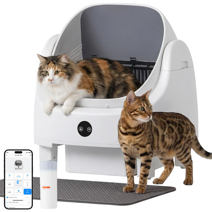 Selbstreinigende Katzentoilette, Katzenklo Selbstreinigend mit Sicherheits Geruchskontrolle, Automat
