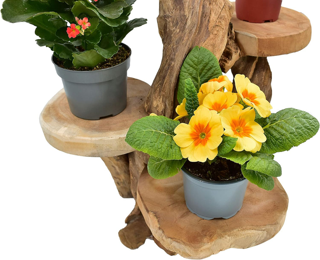 Möbelbörse Teak Blumenständer mit 3 Ablagen Blumenpodest Pflanzentreppe Blumenregal Ständer Blumenho