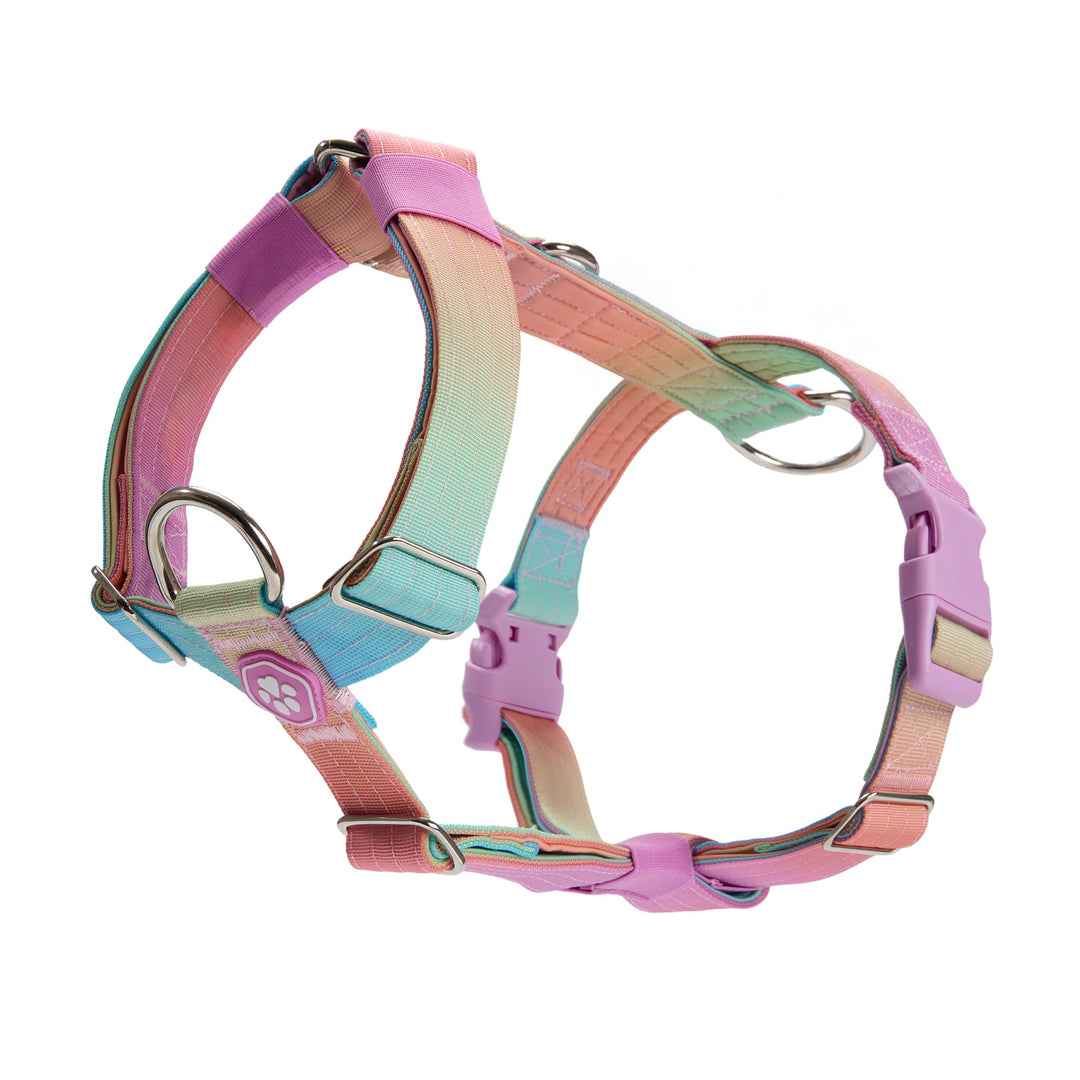 Spark Paws No Pull Hundegeschirr Grosse Hunde, Halterdesign mit Frontclip, Y Geschirr Hund, Robust u