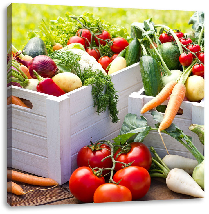 Knackiges frisches Gemüse, Format: 70x70 auf Leinwand, XXL riesige Bilder fertig gerahmt mit Keilrah