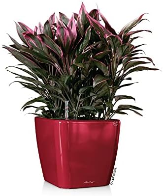 Lechuza Pflanzgefäss Quadro LS 35 Scarlet rot Hochglanz 16167