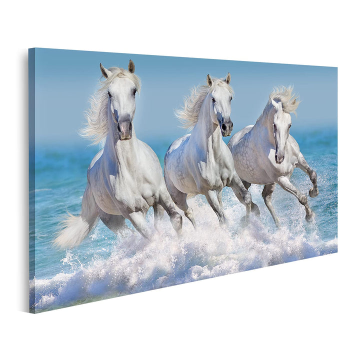 islandburner Bild auf Leinwand Pferde Wasser Weisses Pferd Herde Kinderzimmer Reiten Bilder Wandbild