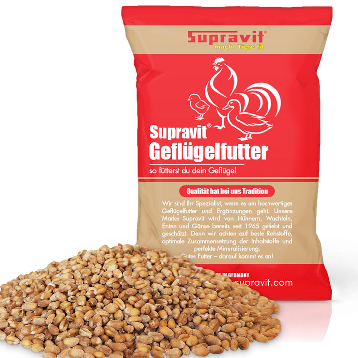 SUPRAVIT Weizen Futterweizen - 25kg aus regionaler Landwirtschaft - Ideales Einzelfuttermittel für T
