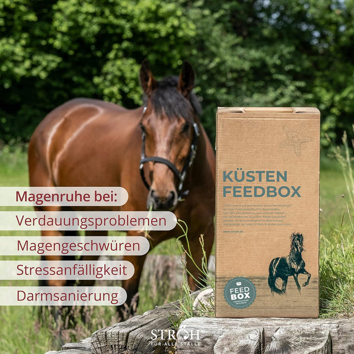 STRÖH Magenruhe Pferd (12kg Feedbox) Magenruhe Pferd (1kg) • Für Pferde Magen, Darm & Verdauung • Mi