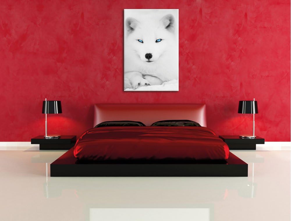 Pixxprint liegender Polarfuchs mit strahlenden Augen schwarz/weiss, Format: 70x100 auf hochkantiges