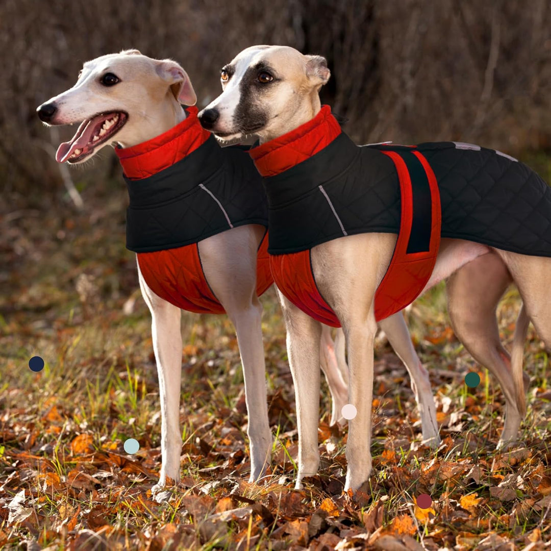 wasserdichte Salukis Mäntel, Hundepullover Fleece Windhund Jacke Schneeanzug Windhund Winter Outfit