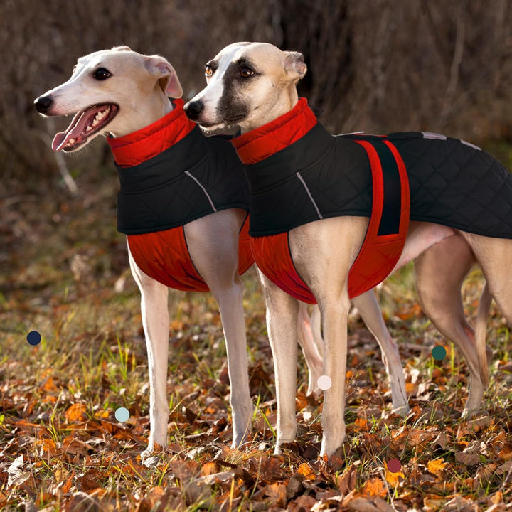 wasserdichte Salukis Mäntel, Hundepullover Fleece Windhund Jacke Schneeanzug Windhund Winter Outfit