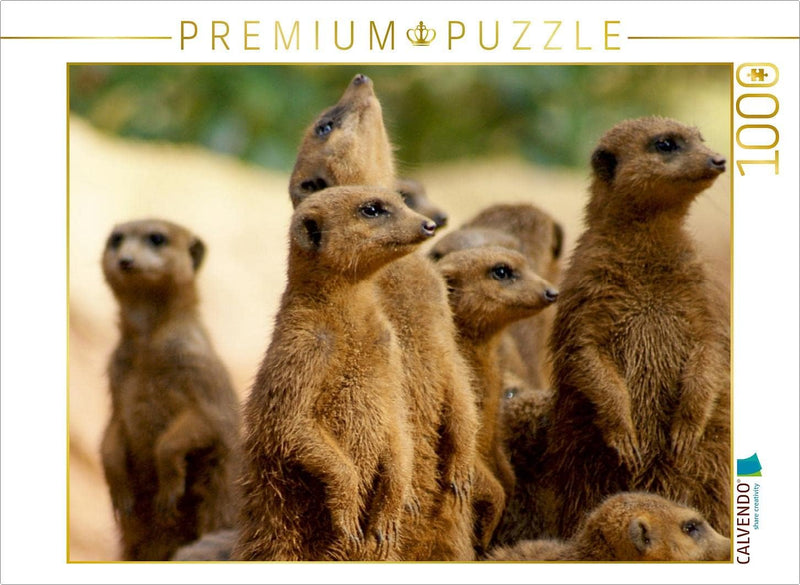 CALVENDO Puzzle Die Welt der Erdmännchen. 1000 Teile Lege-Grösse 64 x 48 cm Foto-Puzzle Bild von Pet