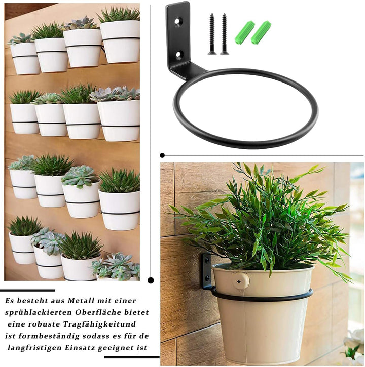 Pflanzen Wandhalterung, 6 Stück Pflanzenhalter Wand, Wandhalterung Blumentopf 15CM, Metall Ring Wand