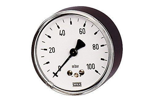 RIEGLER 102552-5825 Kapselfedermanometer, G 1/4 hinten zentrisch, 0-250 mbar, Ø 63, 1Stk