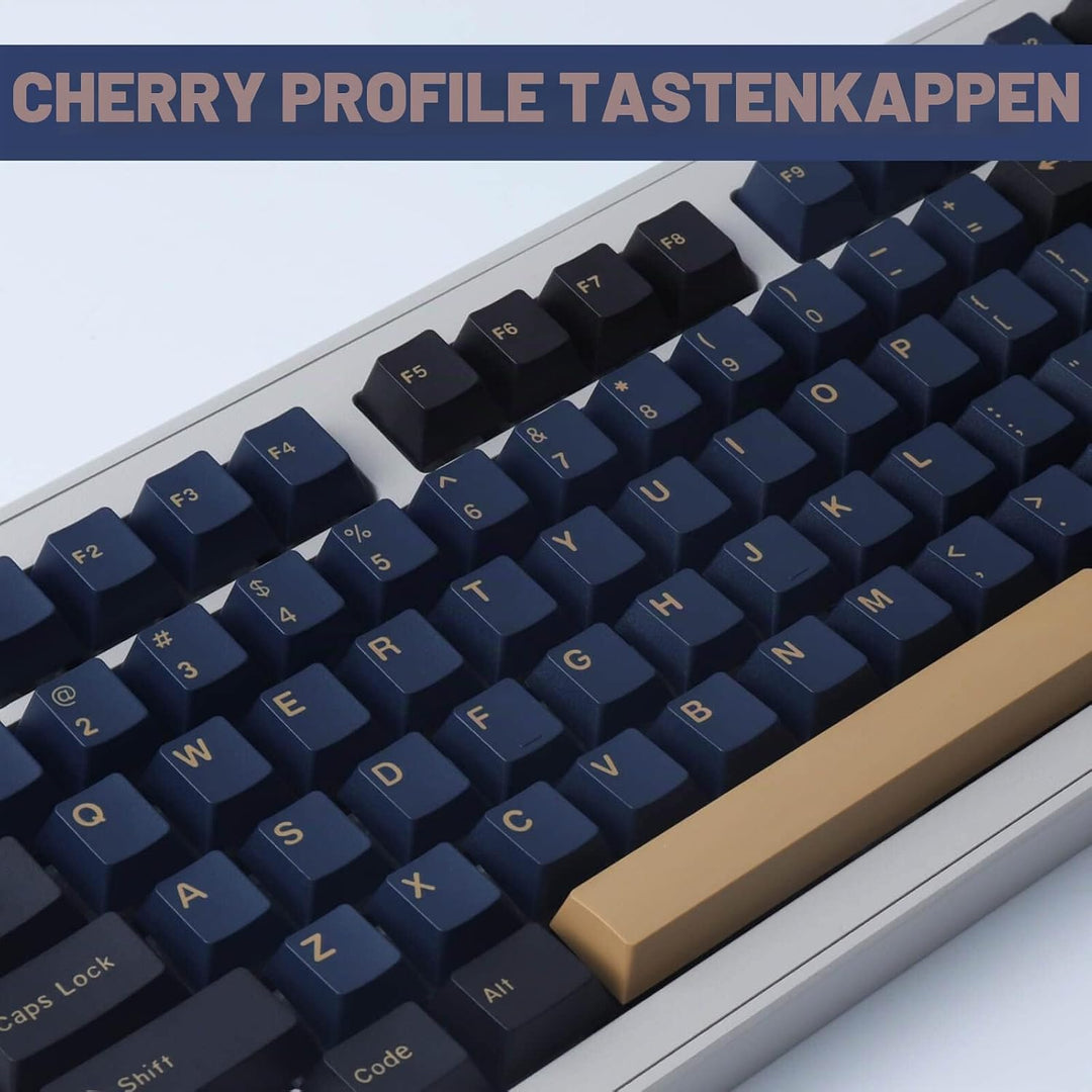 Keycaps 173 Tasten Double Shot Tastenkappen Cherry Profil ABS Custom Keycaps für ANSI&ISO Layout Che