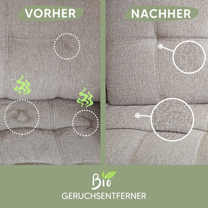 Pawlie's Tier-Geruchsneutralisierer (EXTREM STARK) & Enzymreiniger Katzenurin Geruchsentferner & Hun