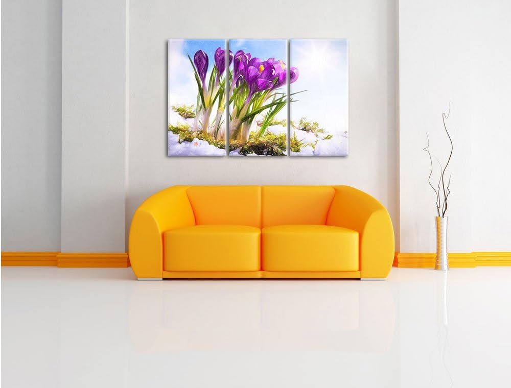 Pixxprint Kunst Frühling florwer Hintergrund / 3-Teilig/Gesamtmass 120cm Leinwandbild bespannt auf H