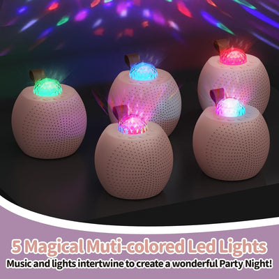 FISHOAKY Karaoke Maschine mit 2 Drahtlosen Mikrofonen, Tragbares Bluetooth Karaoke Maschine für Kind