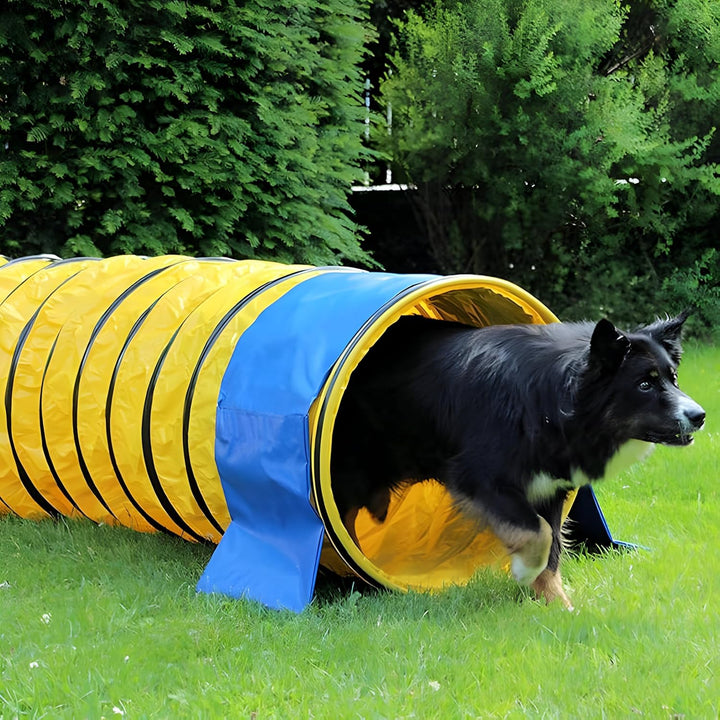Profi Agility Tunnel für Hunde 5m – Ø60cm - 360° flexibel inkl. Stützsandsäcke – nach FCI-Standard –